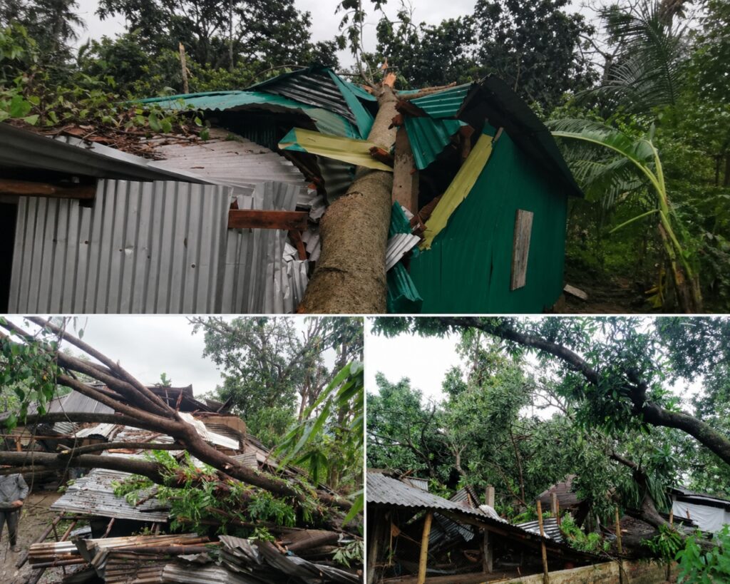 ঝড়ে লণ্ডভণ্ড শ্রীমঙ্গল: বসতবাড়ি ও বিদ্যুৎ লাইন ক্ষতিগ্রস্ত