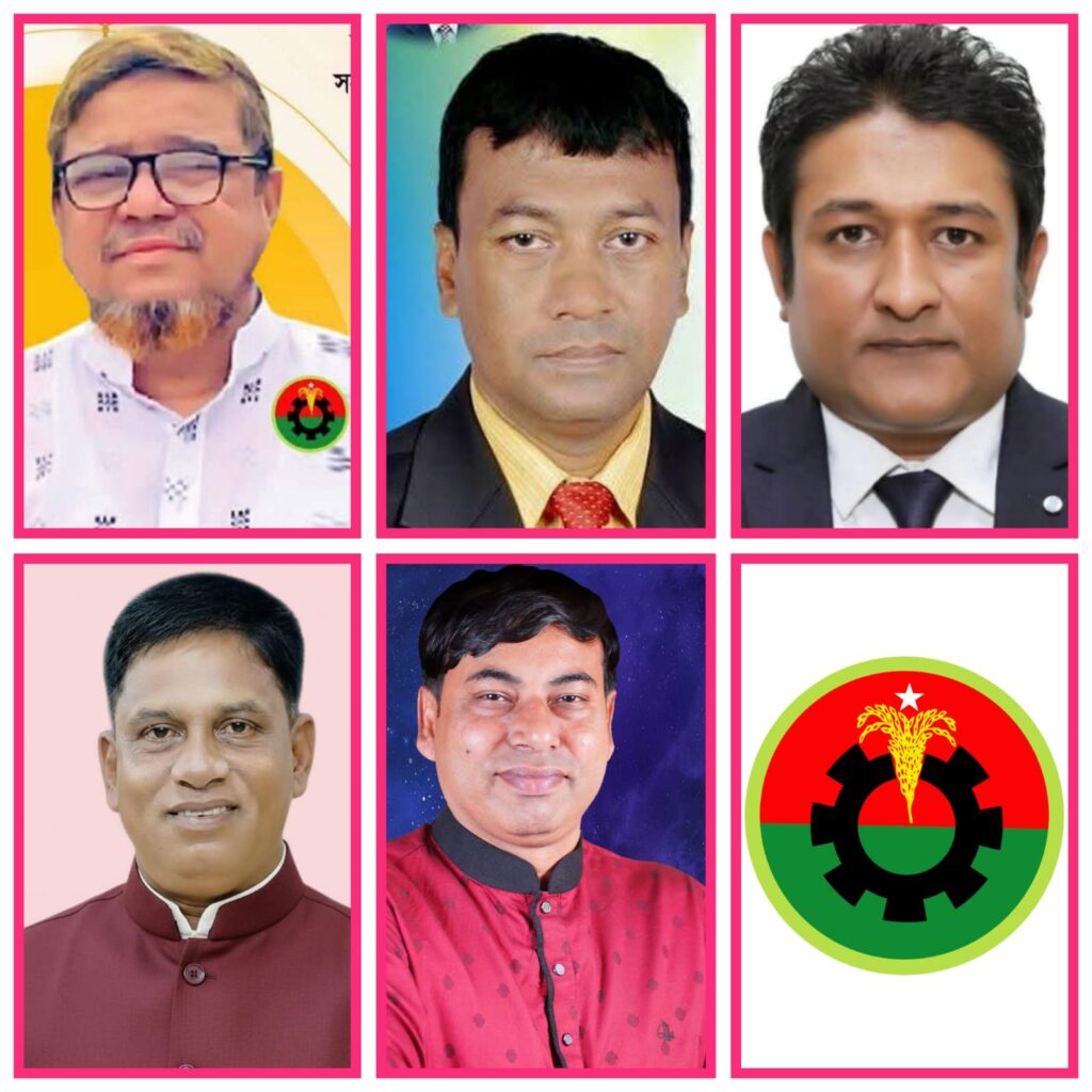 বড়লেখা পৌরসভা নির্বাচনে বিএনপির একাধিক প্রার্থী মাঠে