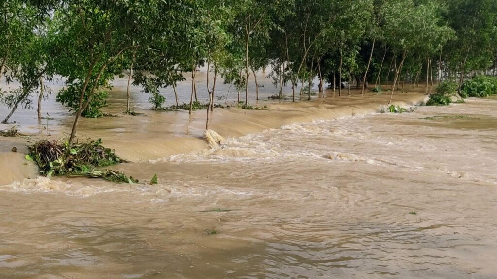 রাজনগরের দত্তগ্রাম ময়নার দোকান এলাকায় ভয়াবহ বন্যা পরিস্থিতি